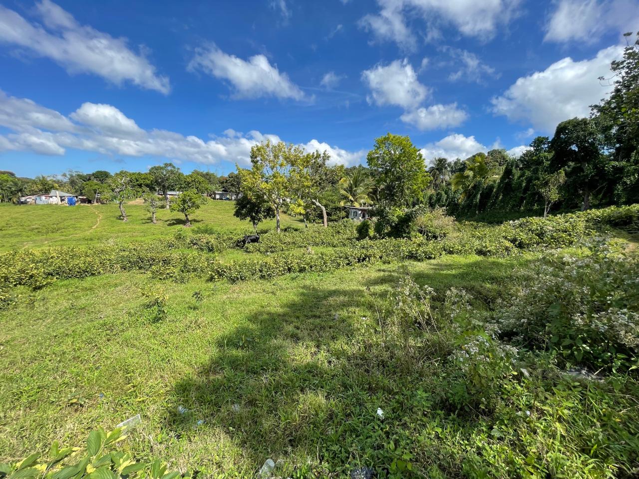 Development Land (Residential) For Sale WARSOP, Troy 7,500,000 Keez