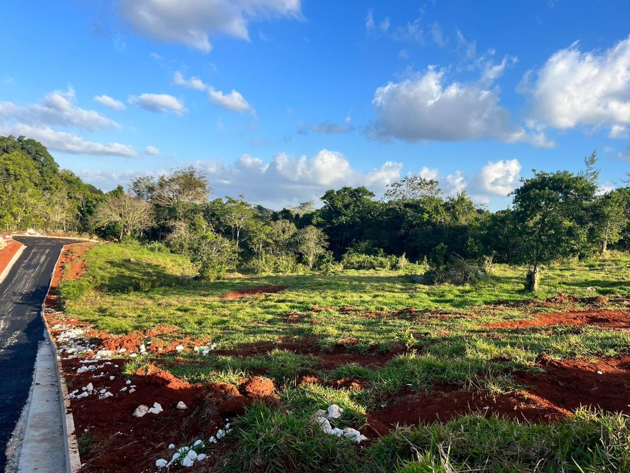 Residential Lot For Sale PINE GROVE CLOSE, Knockpatirck 6,200,000