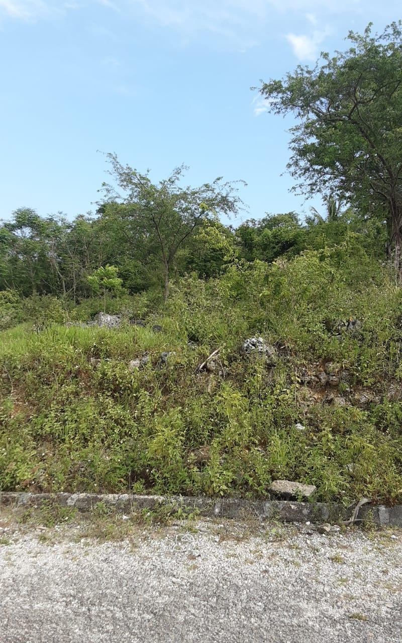 Residential Lot For Sale LOT 36 WILLIAMSFIELD, Williamsfield