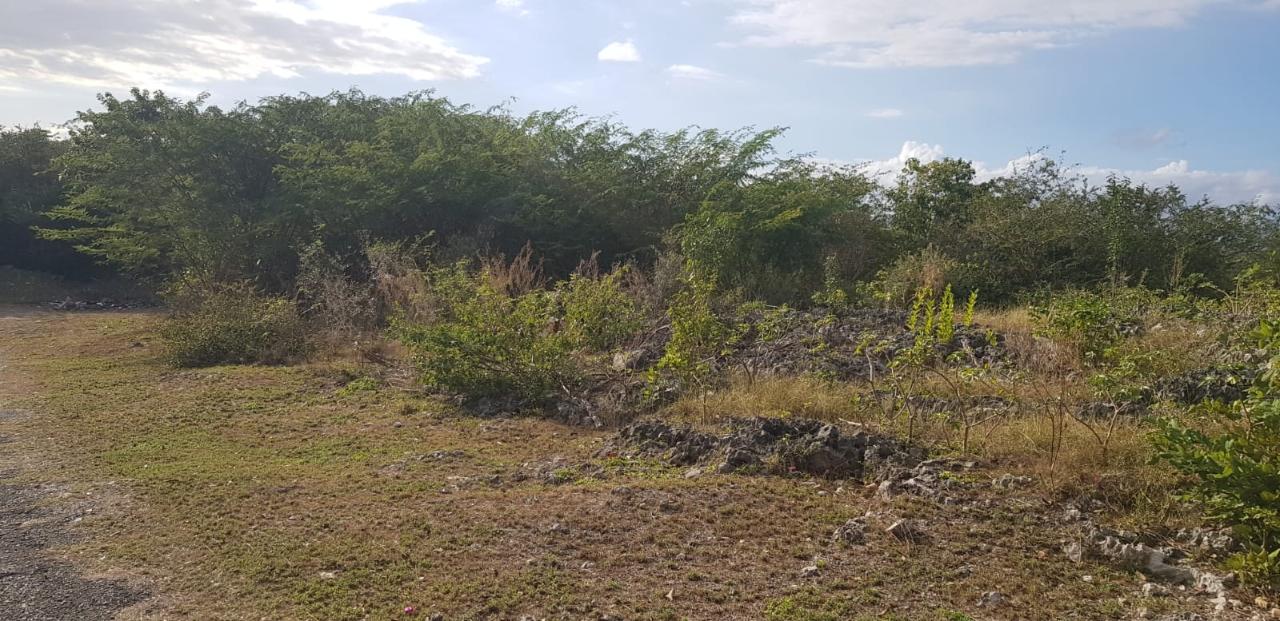 Development Land (Residential) For Sale WEST MONTAQUE HEIGHTS