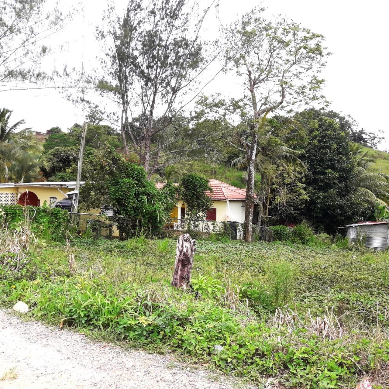 House For Sale ELGIN HALL, LILLYFIELD, Bamboo 15,500,000 Keez