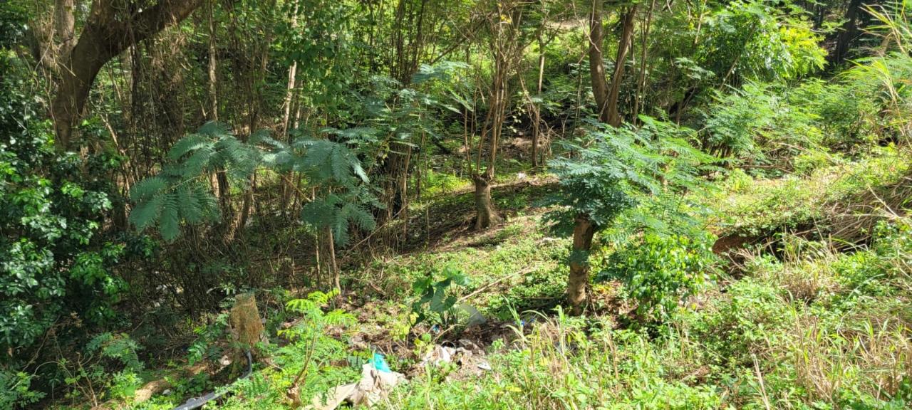 Residential Lot For Sale NEW GREEN, MANDEVILLE, Mandeville