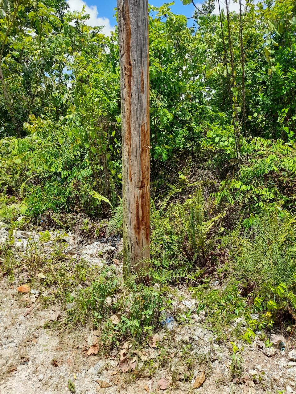 Development Land (Residential) For Sale CHEAPSIDE, WALDERSTON P.O