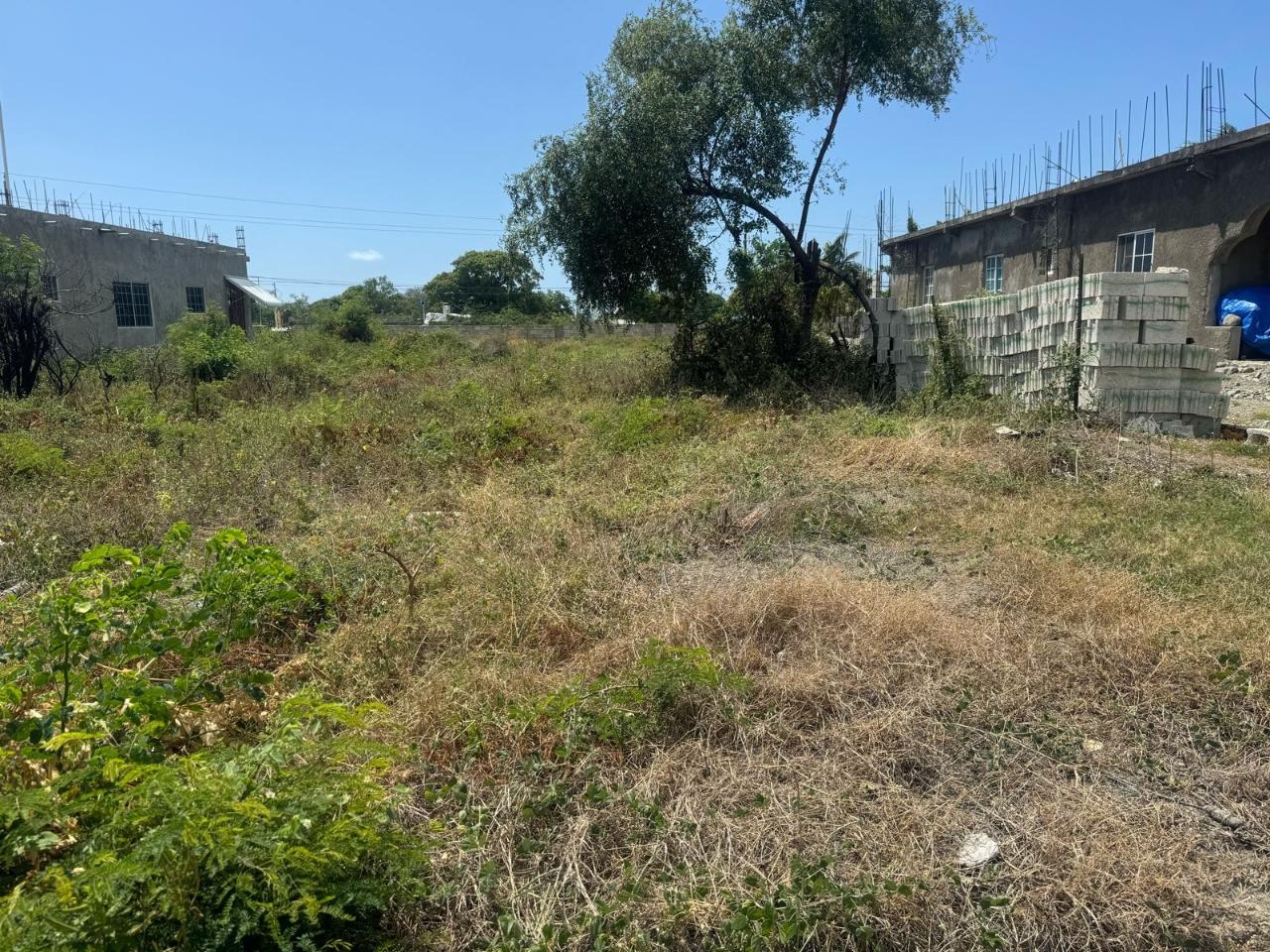 Residential Lot For Sale ALBION ESTATE, Albion Estate 9,000,000 Keez