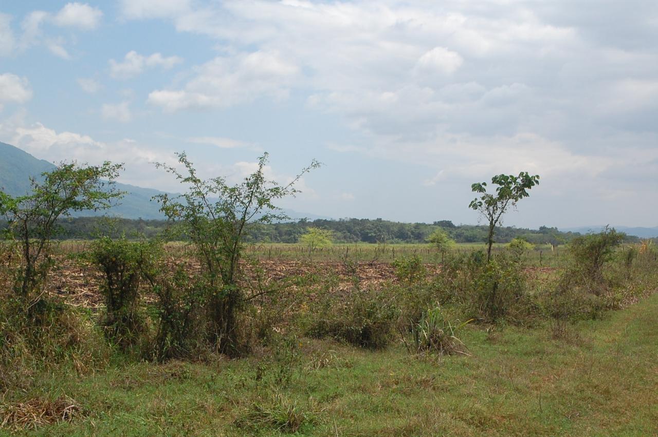 Residential Lot For Sale GOSHEN ST. ELIZABETH, Pepper 45,000,000 Keez