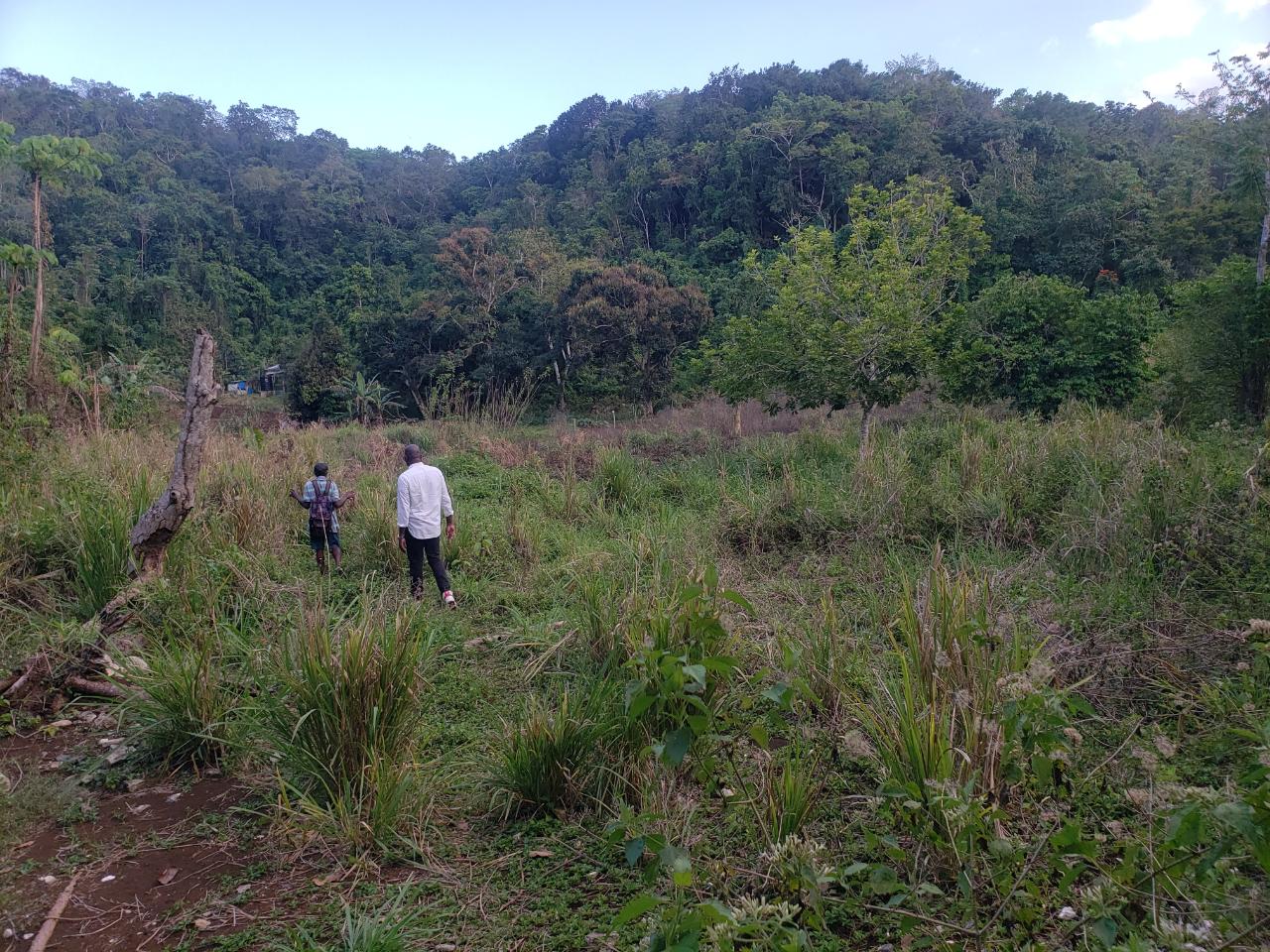 Development Land (Residential) For Sale HOPEWELL, HANOVER, Hopewell