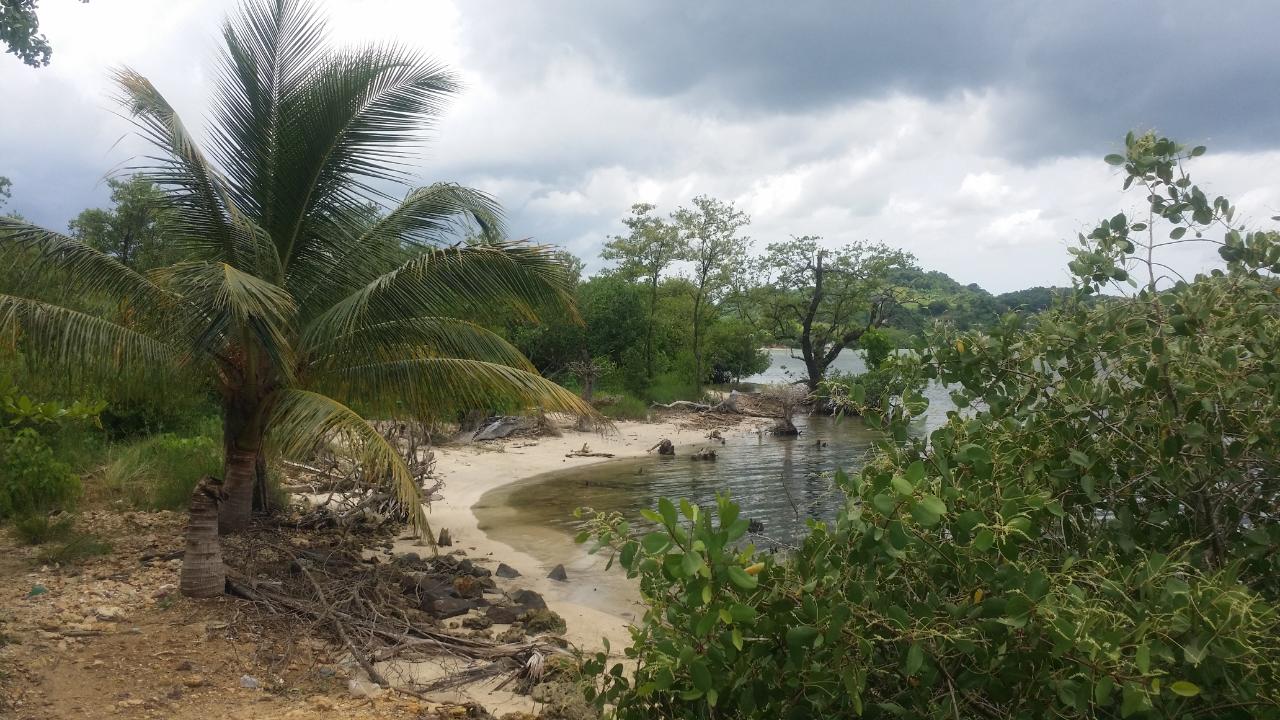 Development Land (Residential) For Sale HAUGHTON COURT, Lucea