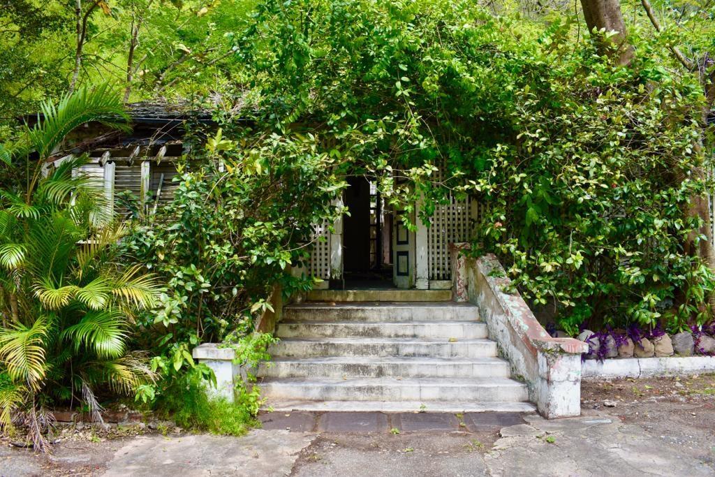 Development Land (Residential) For Sale GORDON TOWN, Gordon Town