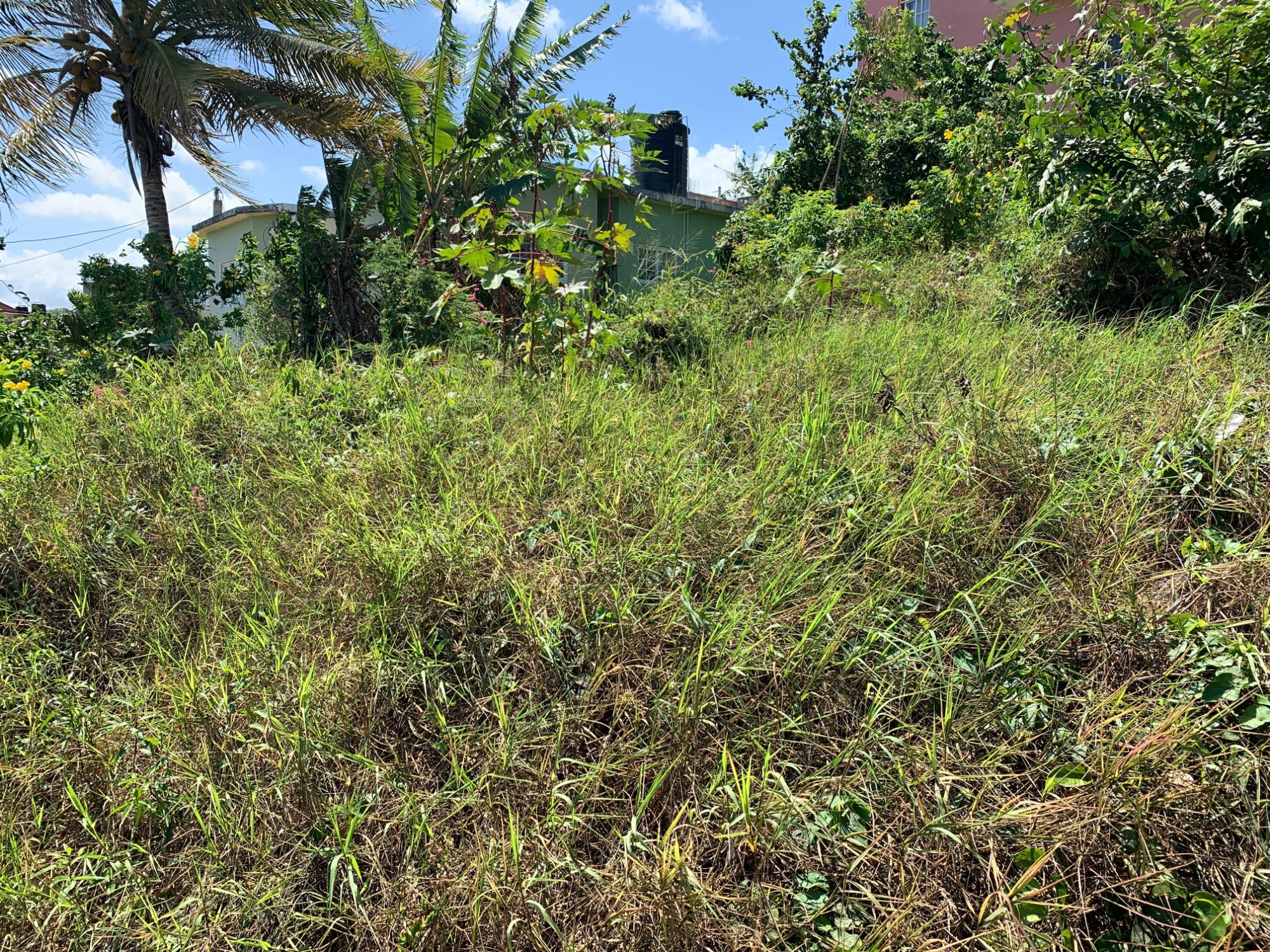 Residential Lot For Sale FREEDOM DRIVE, DUNCANS HILL 6,300,000 Keez