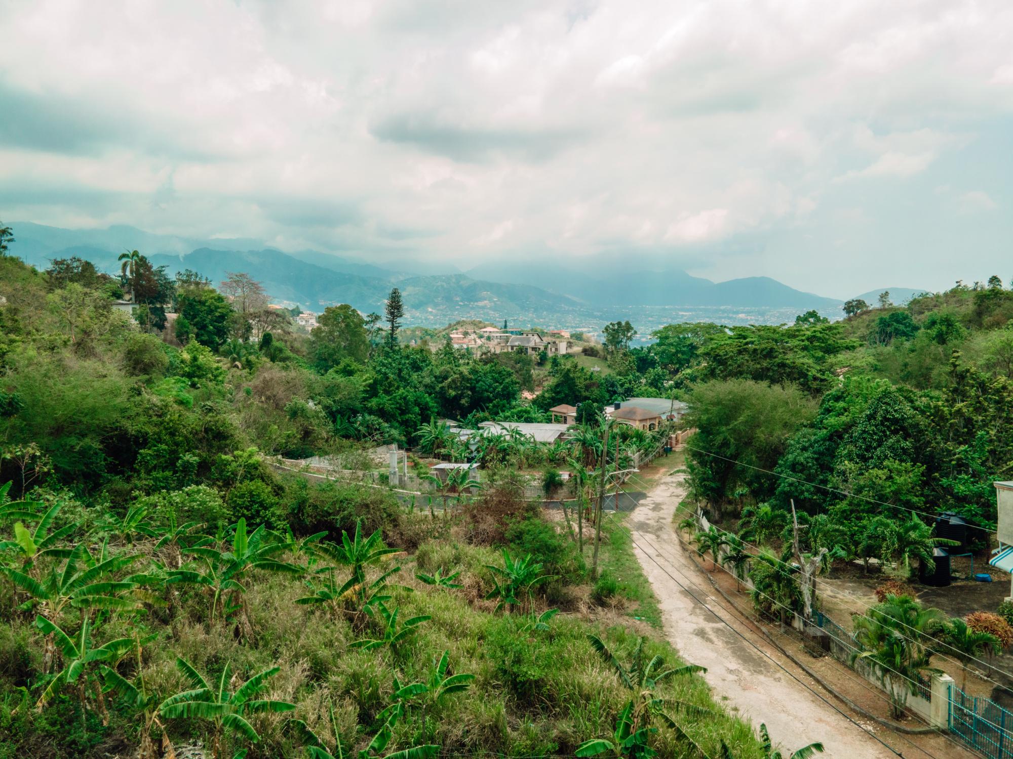 Residential Lot For Sale ALPINE ROAD, RED HILLS, Red Hills