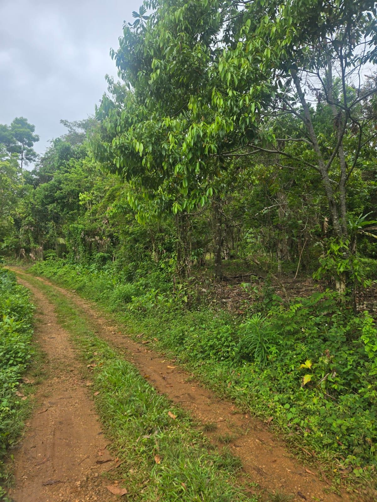 Development Land (Residential) For Sale PARADISE ESTATE , ELYSIUM