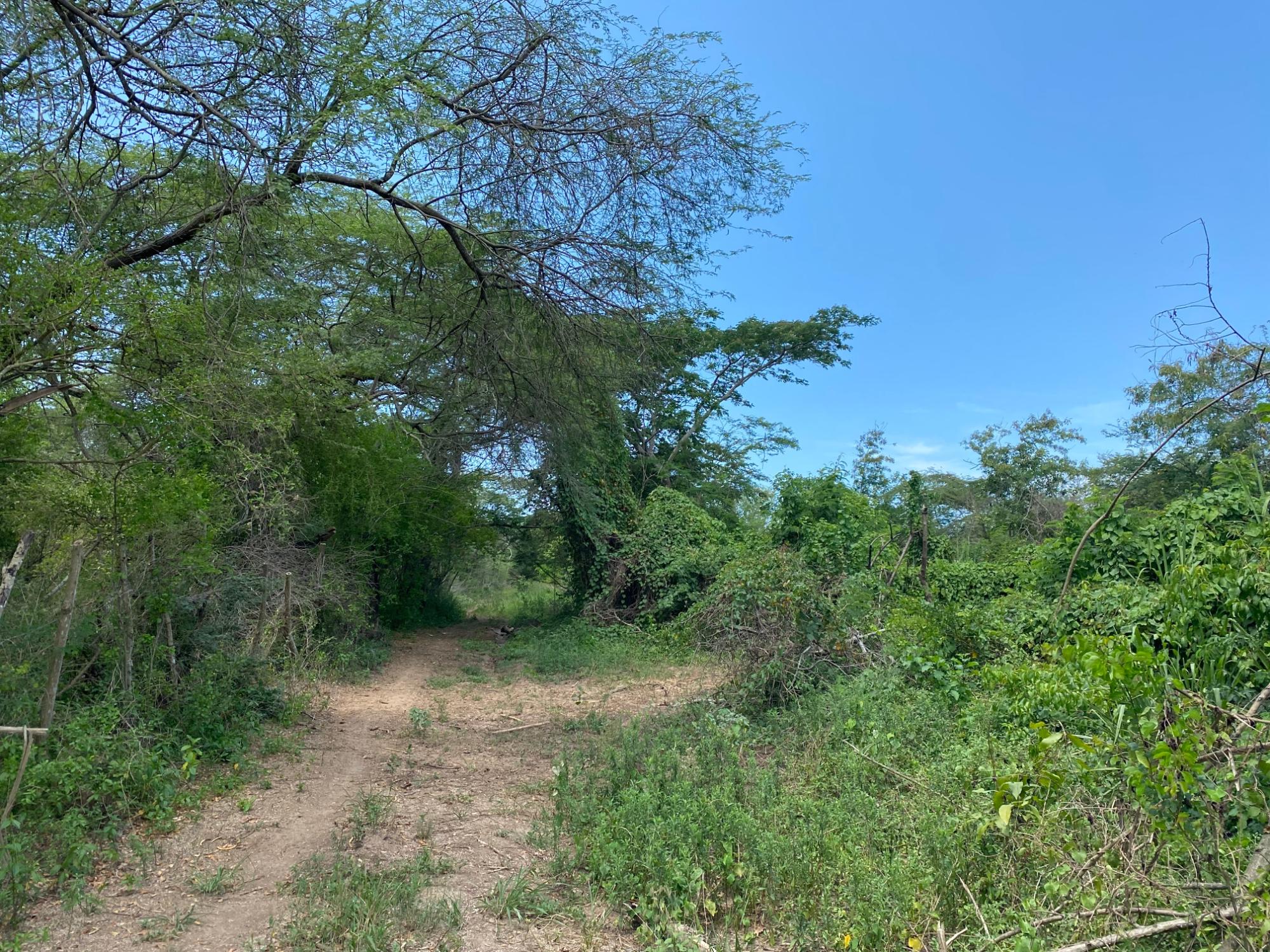 Development Land (Residential) For Sale BUSHY PARK, Old Harbour