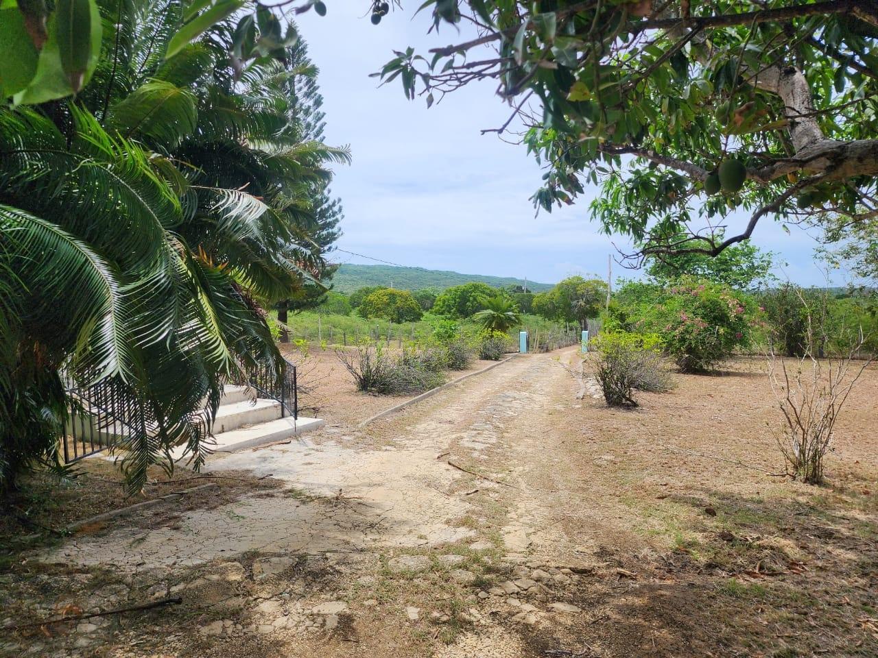 Development Land (Residential) For Sale TREASURE BEACH, Treasure Beach