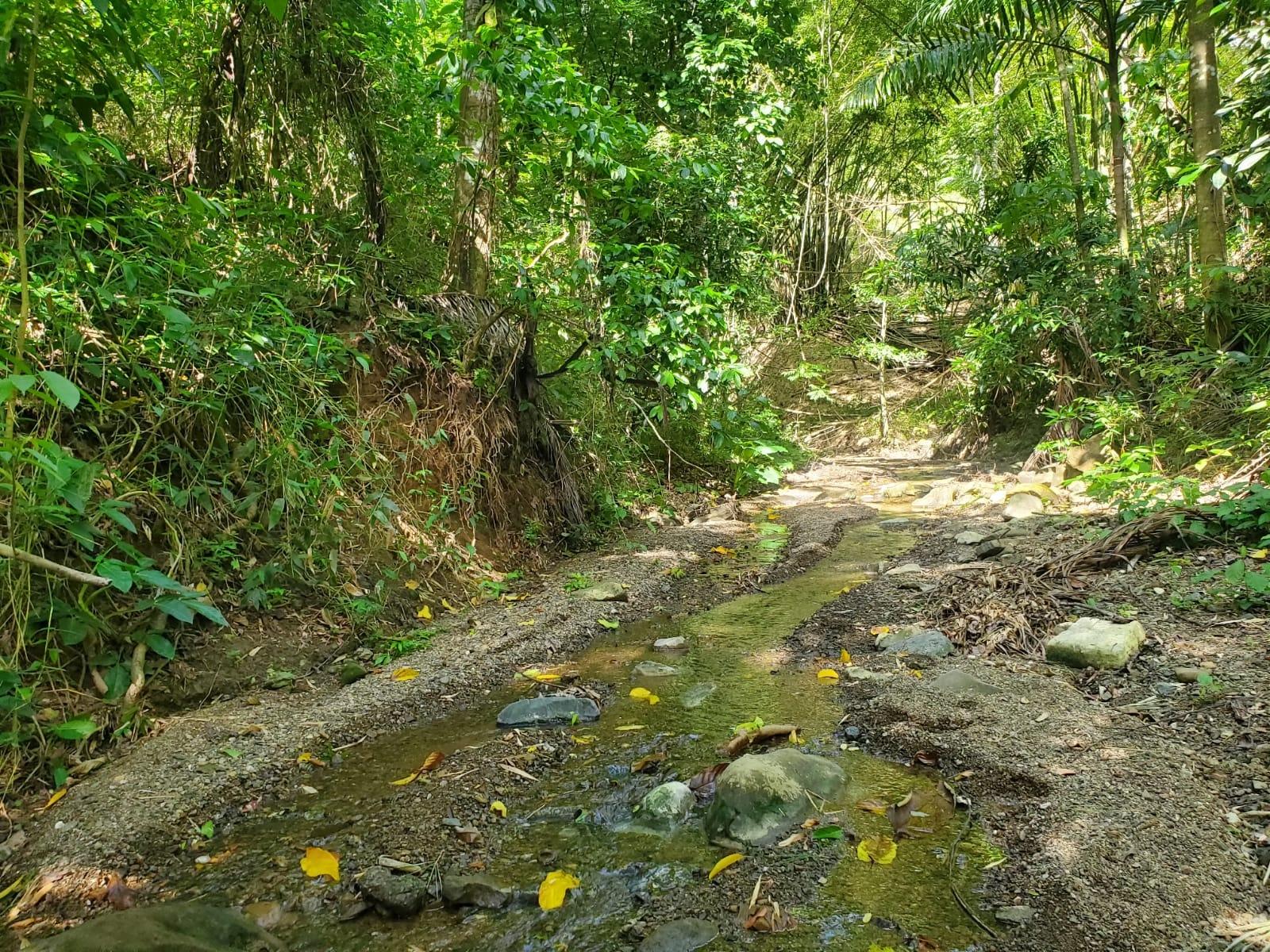 Residential Lot For Sale SPRING PEN, Seaforth 9,000,000 Keez