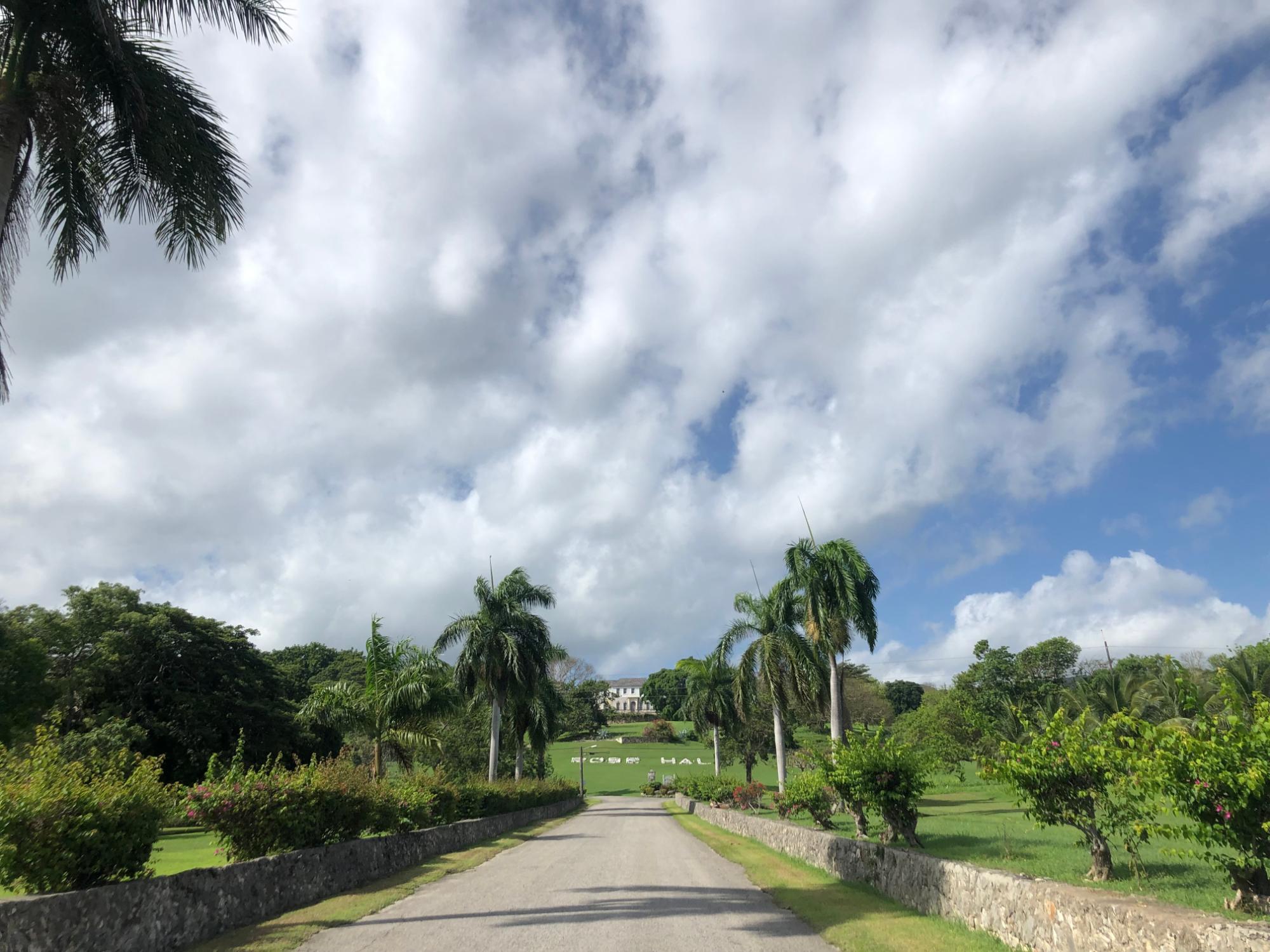 Residential Lot For Sale WEST INDIES ESTATE, Montego Bay 750,000 Keez