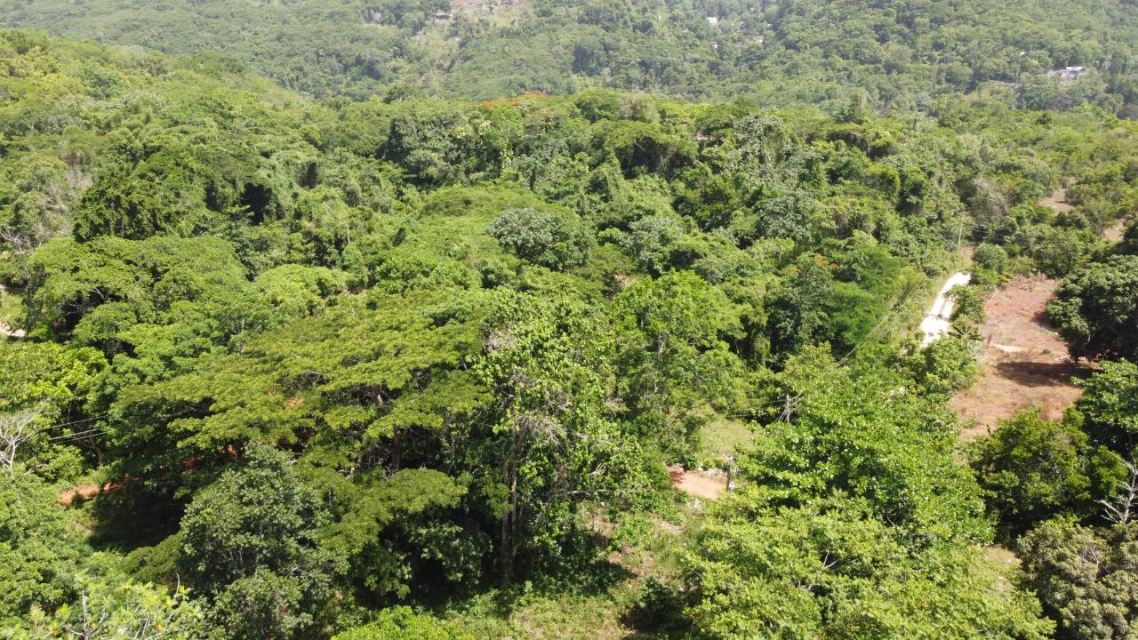 Development Land (Residential) For Sale QUEENHYTHE, DISCOVERY BAY