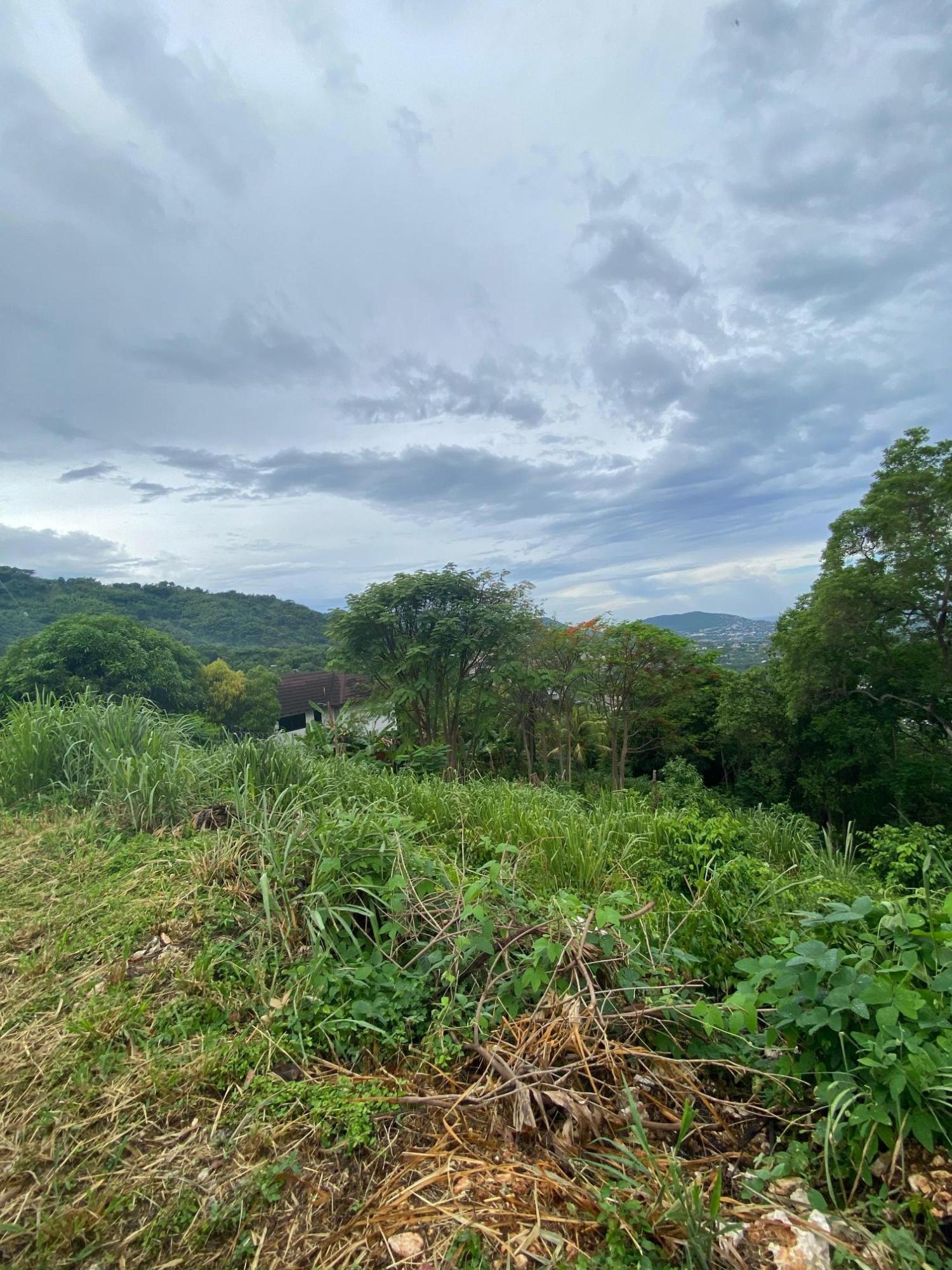 Development Land (Residential) For Sale HERMITAGE DAM ROAD, Kingston 9