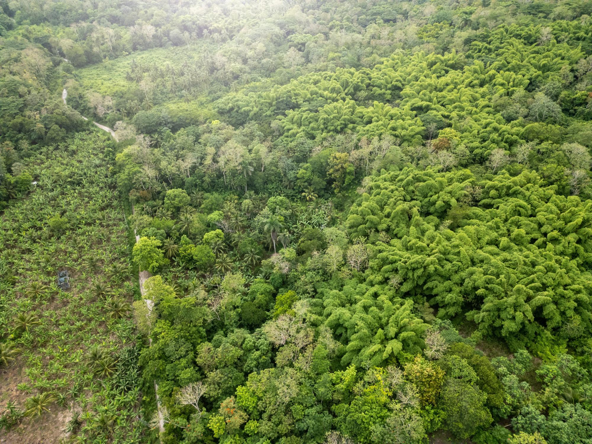 Development Land (Residential) For Sale UNION PEN, Union Hill