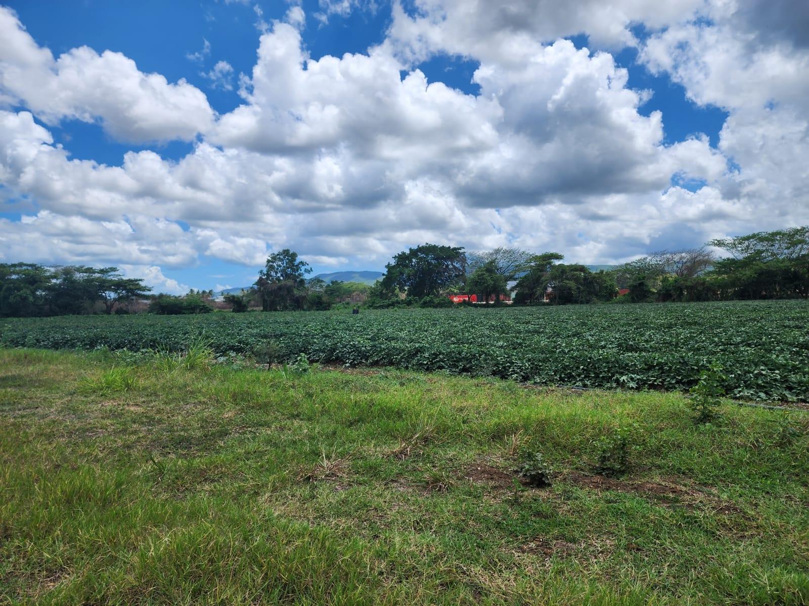 Development Land (Residential) For Sale HEIFERS RUN, CLARENDON, Toll