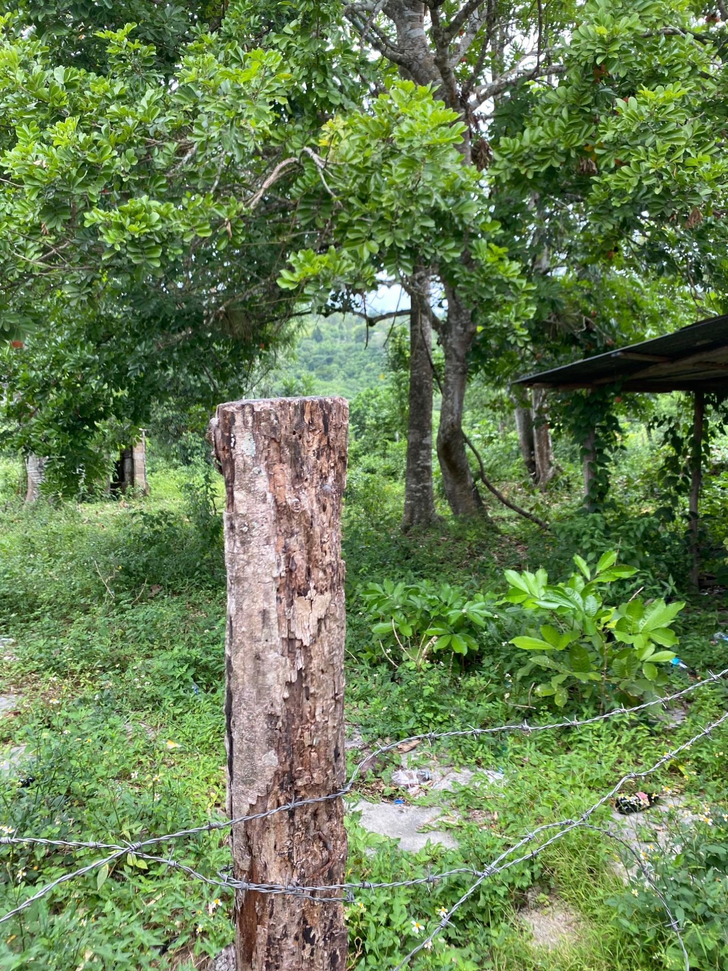 Residential Lot For Sale LAND PART OF TROY, Troy 7,500,000 Keez