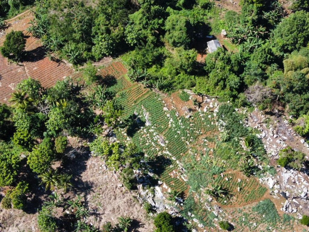 Residential Lot For Sale GUYS HILL, ST. CATHERINE, GUYS HILL