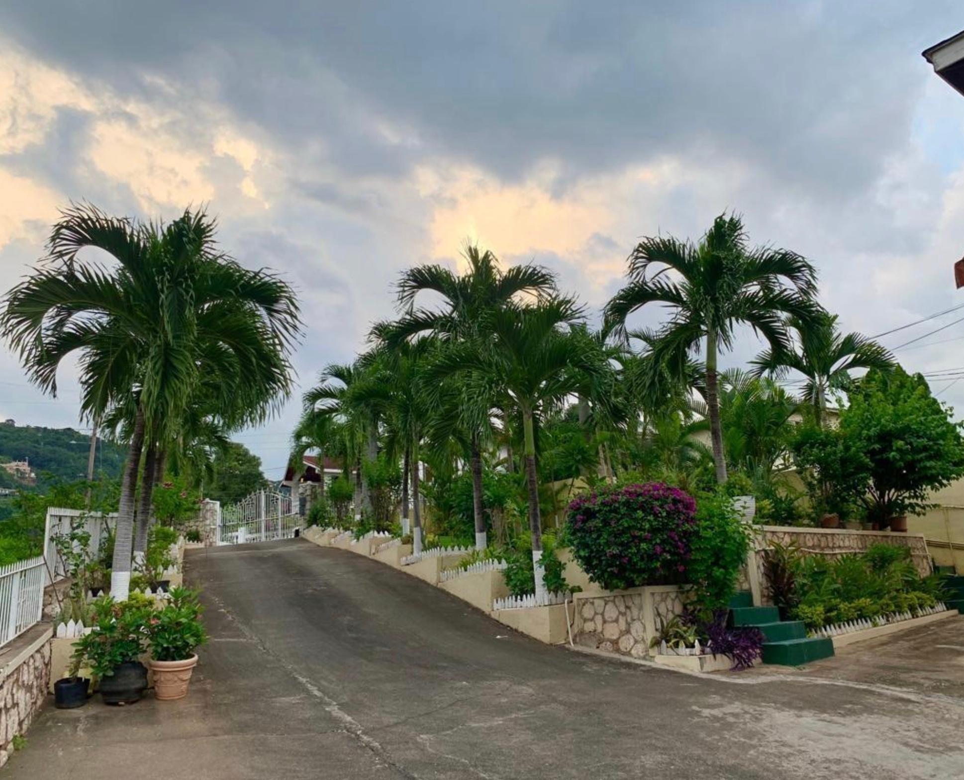 Apartment For Rent WEST BELLEUVE DRIVE, Kingston 19 150,000 Keez