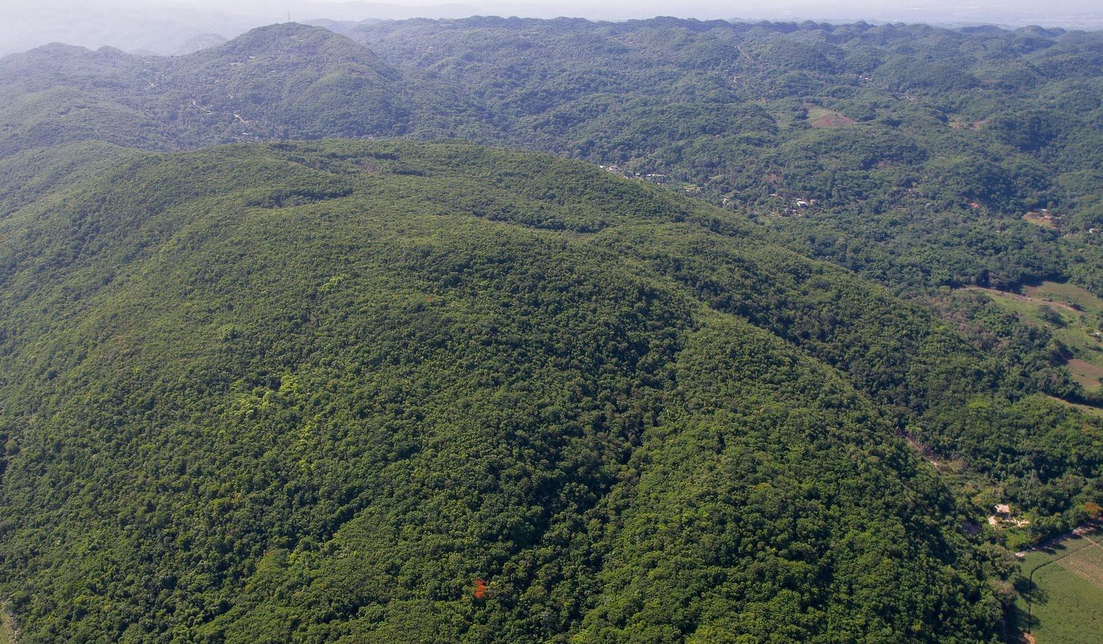 Development Land (Residential) For Sale BULL BAY, HALF WAY TREE