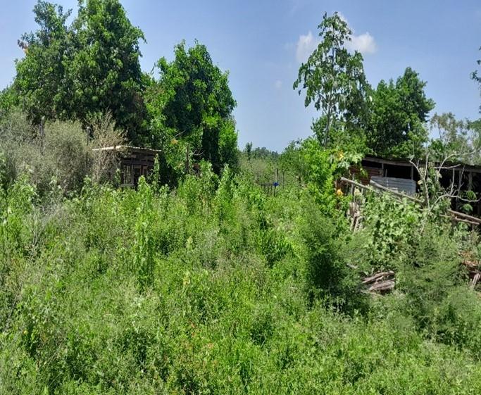 Development Land (Residential) For Sale LAND PART OF DOVER, Dover