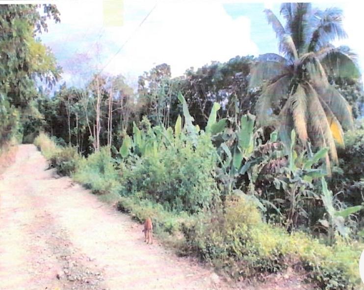 House For Sale ROSEND, ISLINGTON, Islington 4,900,000 Keez