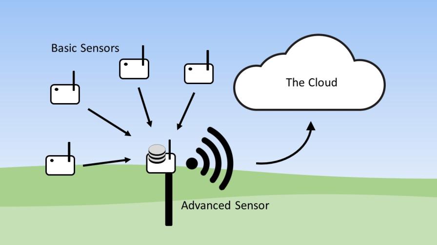 Sensor Trends in Agriculture Finding the Balance Between Affordable