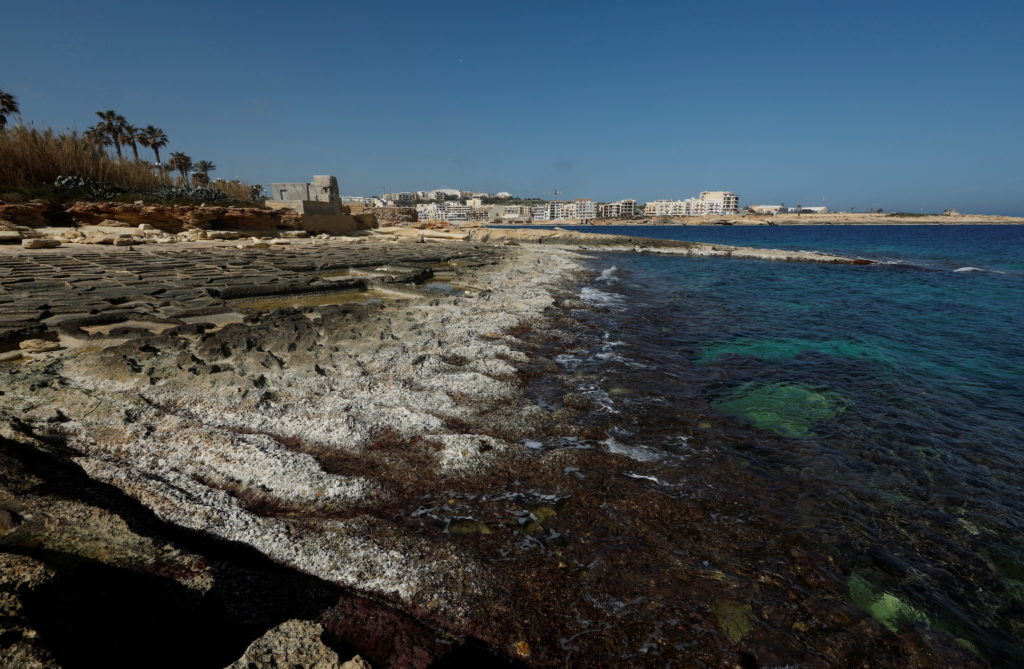 Scientists issue increasingly dire warnings as ocean surface