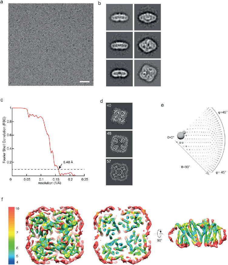 [PDF] A novel lipoprotein nanoparticle system for membrane proteins