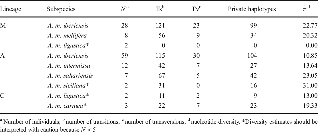Pdf From The Popular Trnaleu Cox2 Intergenic Region To The Mitogenome Insights From Diverse Honey Bee Populations Of Europe And North Africa Semantic Scholar
