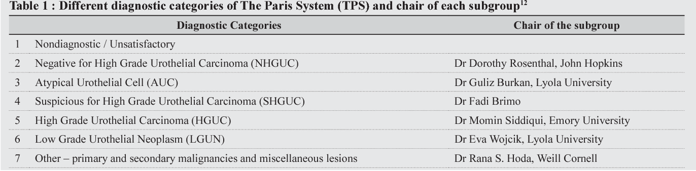 [PDF] The Paris System A new insight into reporting urine cytology