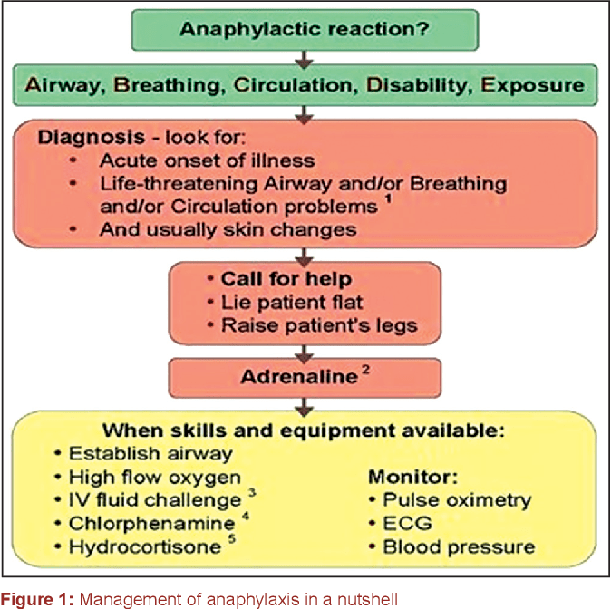 [PDF] Anaphylactic shock management in dental clinics An overview