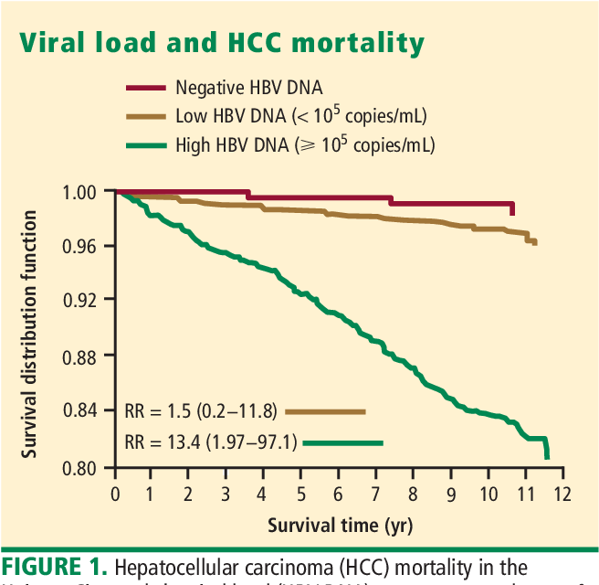 [PDF] Risk of hepatocellular carcinoma in hepatitis B and prevention
