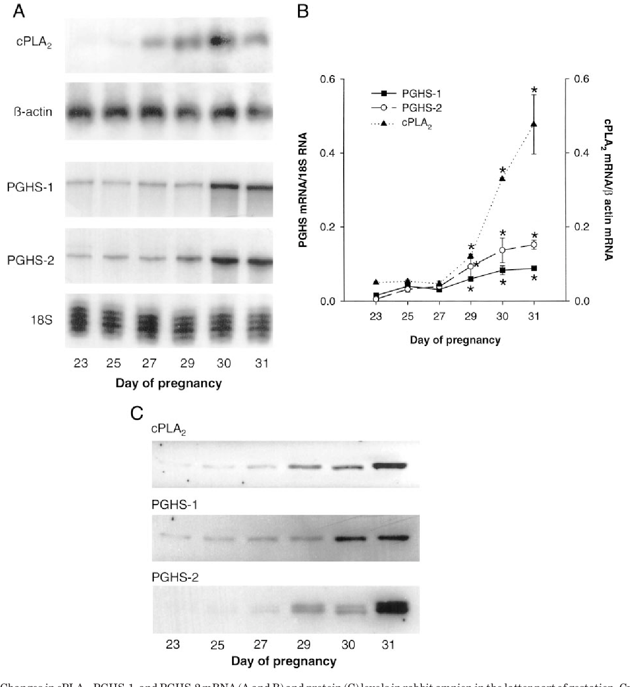 Figure 1 from Complementary mechanisms of enhanced oxytocinstimulated