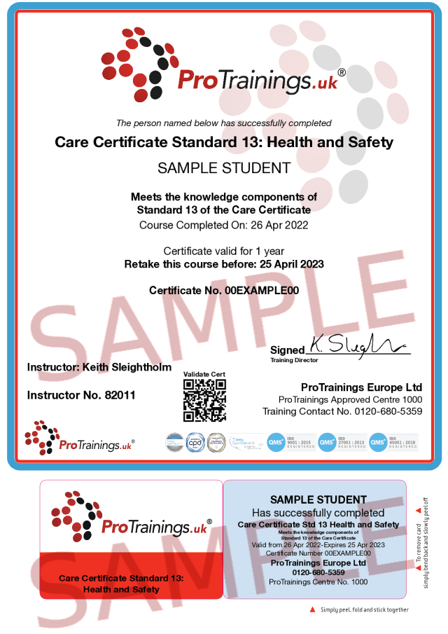 Care Certificate Standard 13 Health and Safety Course Online and