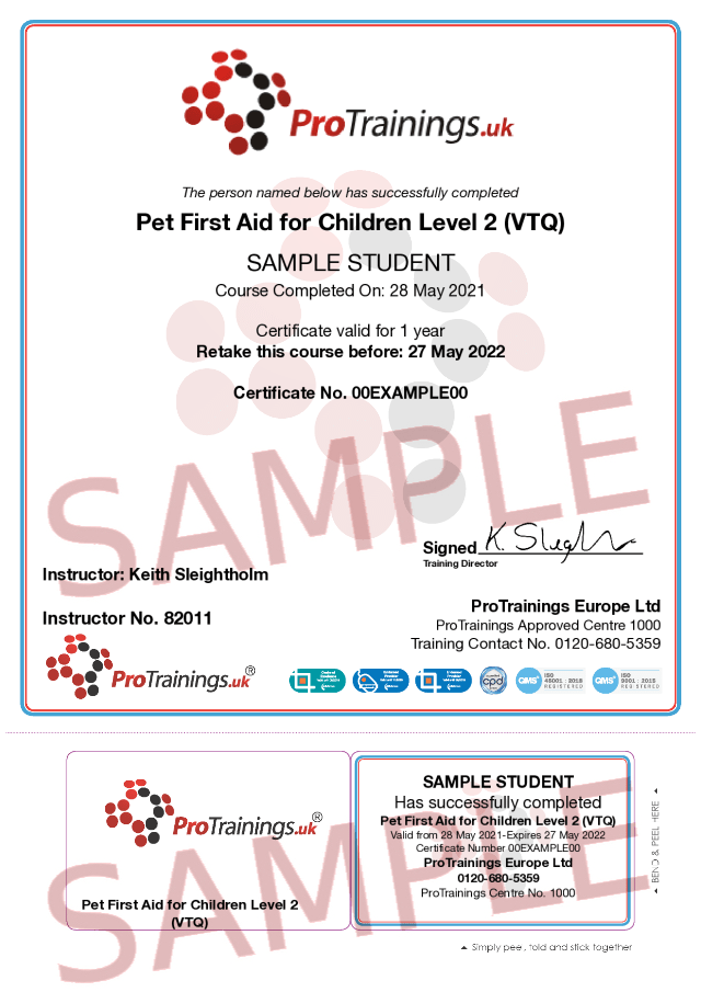 Pet First Aid for Children Level 2 (VTQ) Course Classroom Training
