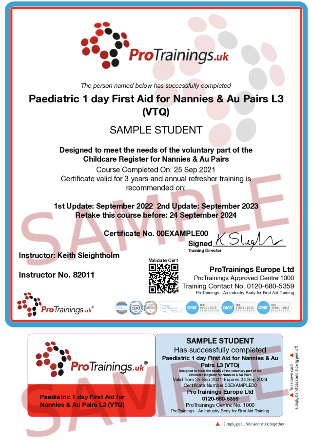 Level 2 Paediatric First Aid for Nannies and Au Pairs Teesside First Aid