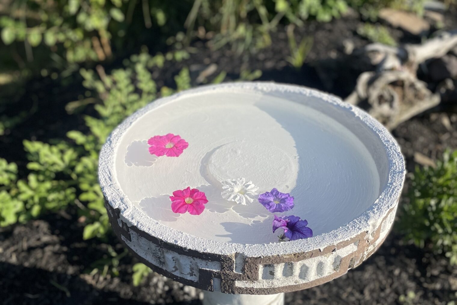 How to Repair a Bird Bath with DRYLOK® Waterproofer.