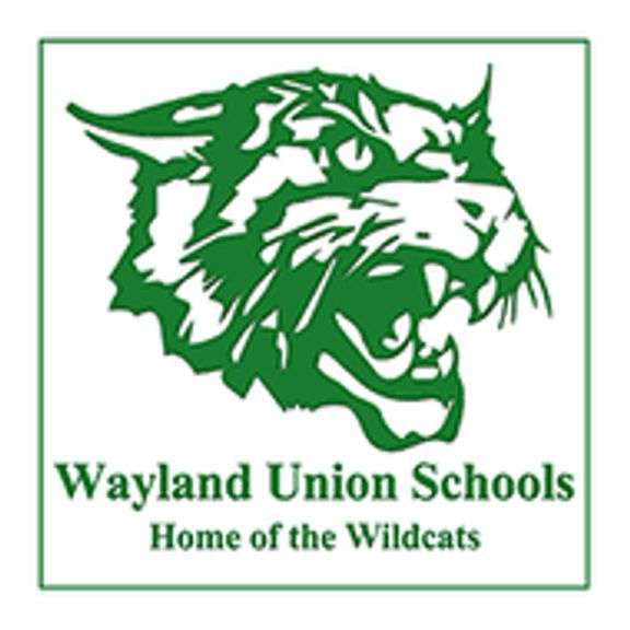 Wayland Union Schools, MI CIS Auctions