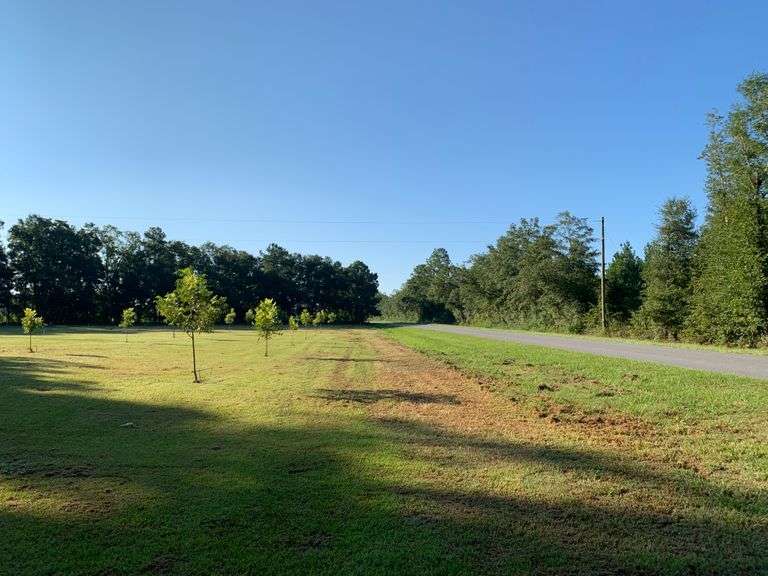 2.8 acres, Rountree Bridge Rd, Sparks, GA South Auction