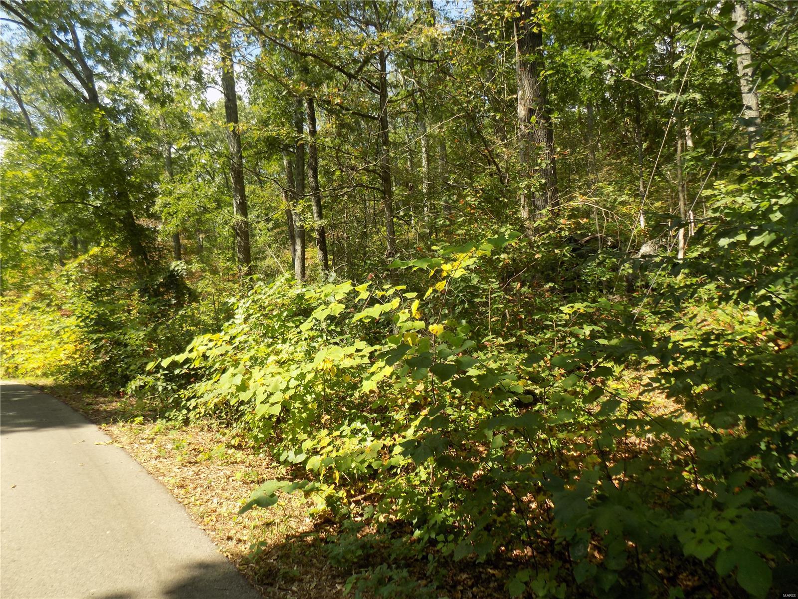 Ironton Missouri Homes and Real Estate by Spitzmiller Realty