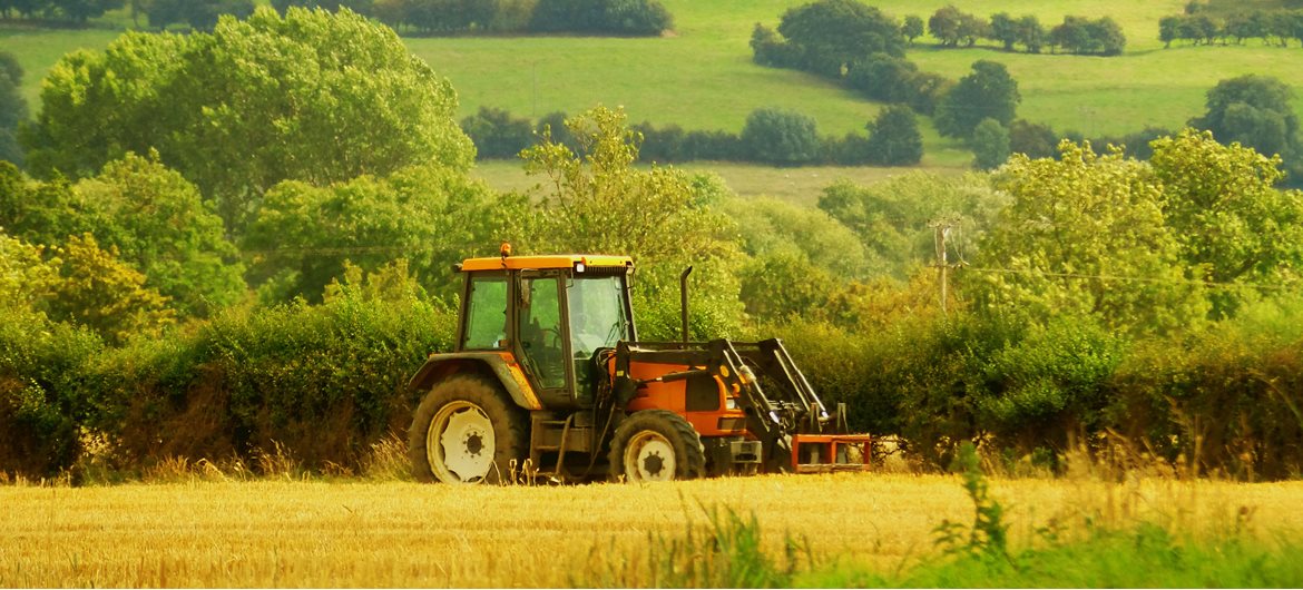 67 Interesting Facts about Farming