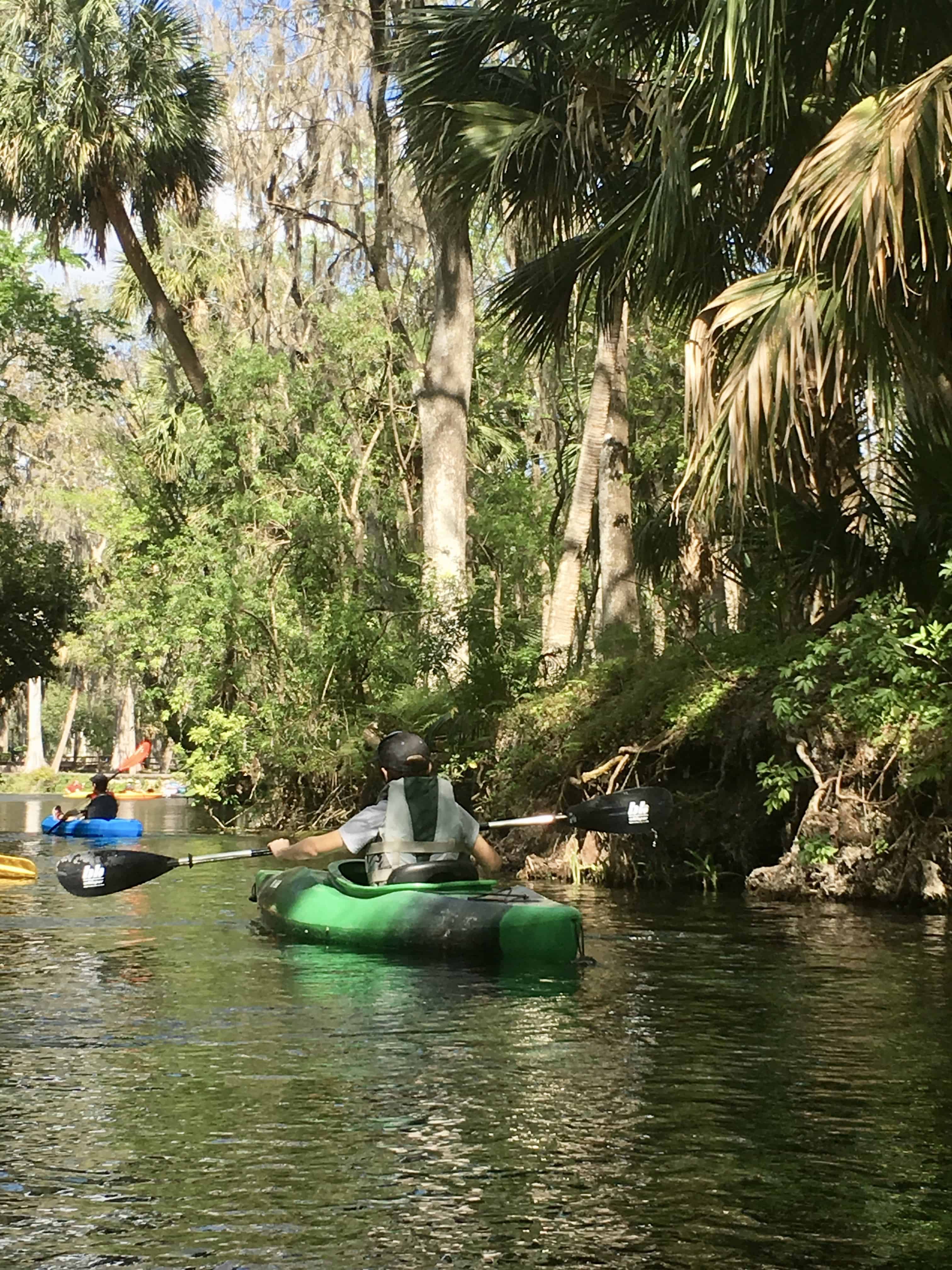 Kayaking Adventures In Silver Springs Tastefulventure