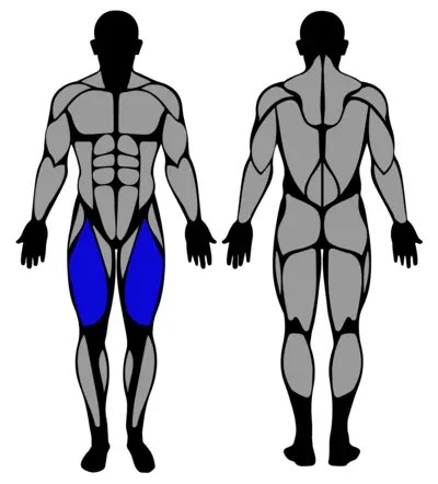 BeneFit Guide - Leg Extension