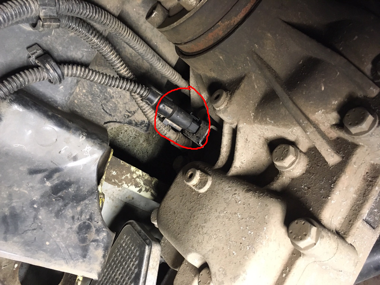 TransporterWiringimage1 Haldex Parts and ECU Repairs by Auto Fault