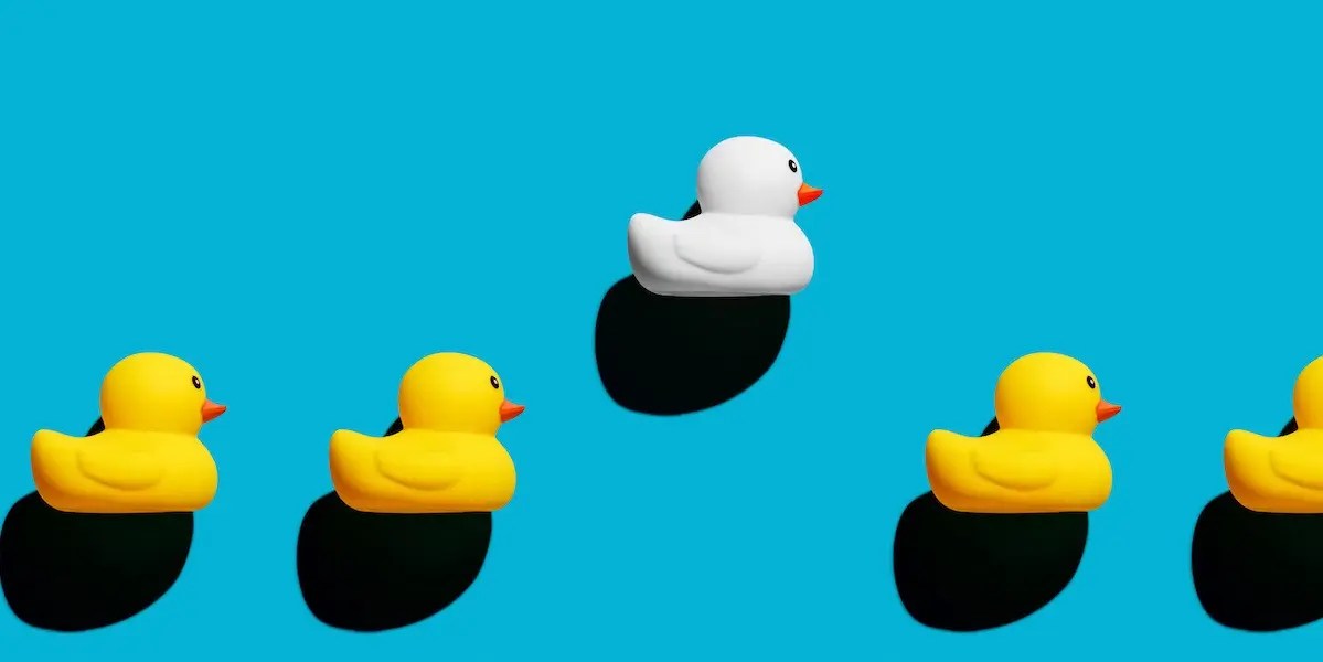 Rubber Duck Debugging A Simple 2024 Beginner's Guide