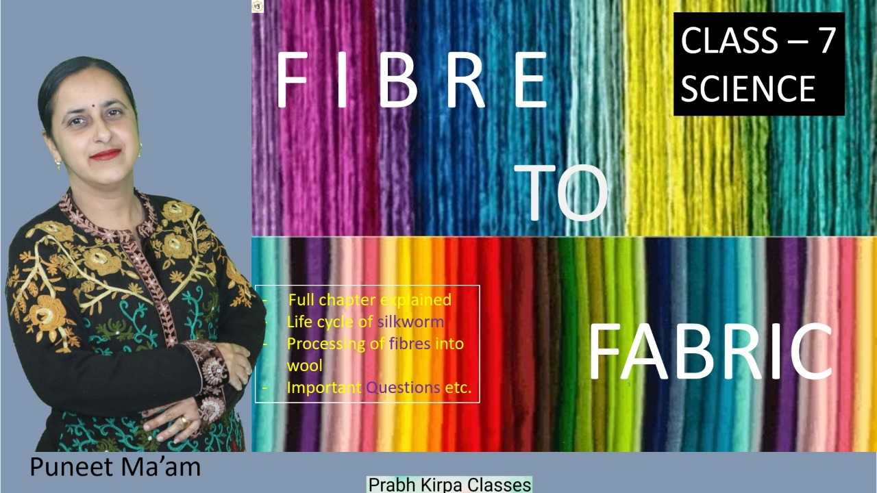 Fiber to Fabric Class 7 Science Online Course